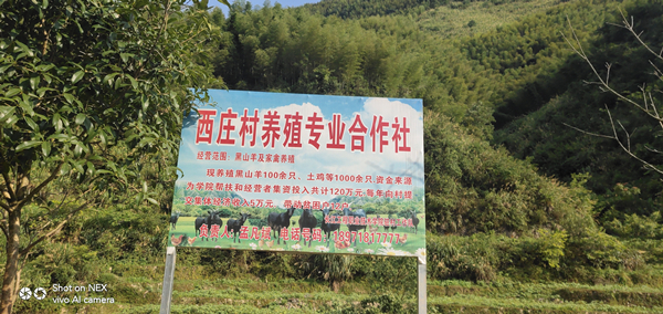 20190916409189.jpg 3黑山羊养殖基地指示牌_副本.jpg